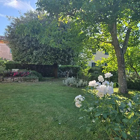 La Primavera