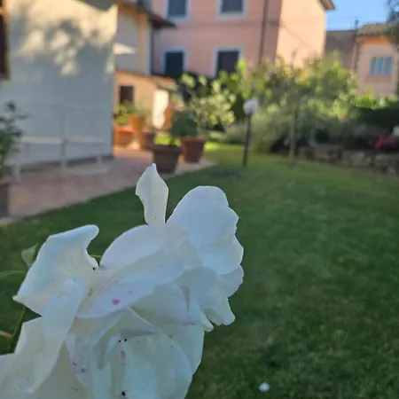 La Primavera Panzió Volterra
